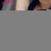 ヒメ日記 2025/11/16 11:41 投稿 さき C.C.CATS