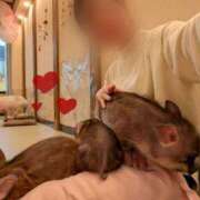 ヒメ日記 2025/02/04 20:16 投稿 八幡みつき 夜這い専門 発情する奥様たち梅田店