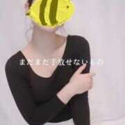 ヒメ日記 2025/03/21 12:46 投稿 八幡みつき 夜這い専門 発情する奥様たち梅田店