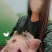 ヒメ日記 2025/03/25 16:56 投稿 八幡みつき 夜這い専門 発情する奥様たち梅田店