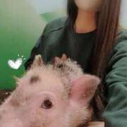 ヒメ日記 2025/06/15 18:36 投稿 八幡みつき 夜這い専門 発情する奥様たち梅田店