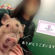 ヒメ日記 2025/07/04 18:36 投稿 八幡みつき 夜這い専門 発情する奥様たち梅田店