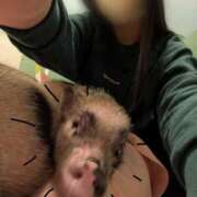 ヒメ日記 2025/10/11 08:06 投稿 八幡みつき 夜這い専門 発情する奥様たち梅田店