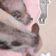 ヒメ日記 2026/01/23 12:46 投稿 八幡みつき 夜這い専門 発情する奥様たち梅田店