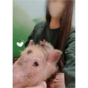 ヒメ日記 2026/04/15 13:06 投稿 八幡みつき 夜這い専門 発情する奥様たち梅田店