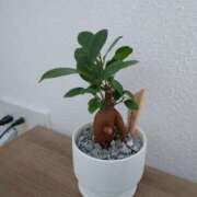 ヒメ日記 2025/03/10 11:51 投稿 美内 新宿人妻城