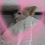 ヒメ日記 2025/09/08 13:53 投稿 美内 新宿人妻城