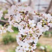 ヒメ日記 2025/03/30 08:53 投稿 ななみ エピソード倉敷