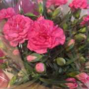 ヒメ日記 2025/05/12 09:15 投稿 ななみ エピソード倉敷