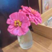 ヒメ日記 2025/11/07 20:59 投稿 ななみ エピソード倉敷