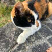 ヒメ日記 2025/11/23 09:26 投稿 ななみ エピソード倉敷