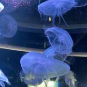 ヒメ日記 2026/02/15 09:29 投稿 ななみ エピソード倉敷