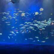 ヒメ日記 2026/02/18 22:35 投稿 ななみ エピソード倉敷