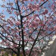 ななみ おはようございます💓 エピソード倉敷