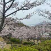 ヒメ日記 2026/04/01 20:29 投稿 ななみ エピソード倉敷