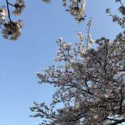 ヒメ日記 2025/04/11 20:23 投稿 ねね ときめき女学院