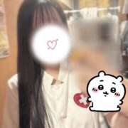 ヒメ日記 2026/04/21 13:14 投稿 ねね ときめき女学院