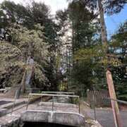 ヒメ日記 2025/09/23 13:42 投稿 ちほ 即アポマダム～名古屋店～