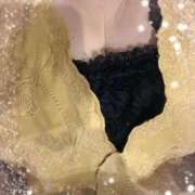 ヒメ日記 2025/10/18 23:55 投稿 ちほ 即アポマダム～名古屋店～