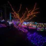 ヒメ日記 2024/12/26 21:14 投稿 ARIEL GINGIRA☆TOKYO～ギンギラ東京～