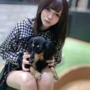 ヒメ日記 2024/12/29 18:34 投稿 ARIEL GINGIRA☆TOKYO～ギンギラ東京～