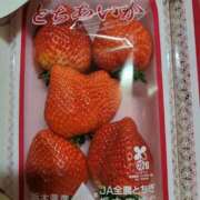 ヒメ日記 2025/02/19 15:07 投稿 ひびきあゆむ 扉の向こう側
