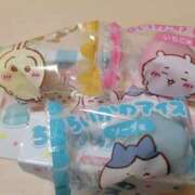 ヒメ日記 2025/03/01 11:50 投稿 ひびきあゆむ 扉の向こう側