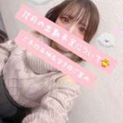 ヒメ日記 2024/12/13 13:31 投稿 まる 奥様さくら難波店