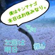 ヒメ日記 2025/09/17 11:35 投稿 江田 鶯谷デッドボール