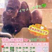 ヒメ日記 2025/11/09 20:54 投稿 江田 鶯谷デッドボール