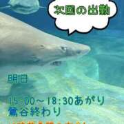 ヒメ日記 2025/11/16 18:19 投稿 江田 鶯谷デッドボール