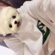 ヒメ日記 2025/04/09 13:24 投稿 みこ アロマエステ・メルト