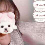 ヒメ日記 2025/04/17 13:02 投稿 みこ アロマエステ・メルト