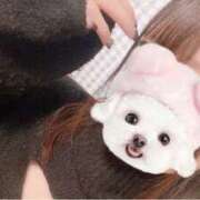 ヒメ日記 2025/12/19 14:53 投稿 みこ アロマエステ・メルト