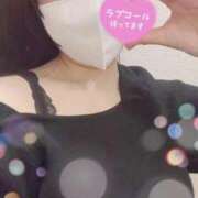 ヒメ日記 2025/02/16 12:49 投稿 るな 横浜人妻ヒットパレード（シンデレラグループ）