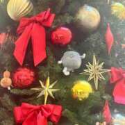 ヒメ日記 2025/11/22 23:19 投稿 るな 横浜人妻ヒットパレード（シンデレラグループ）