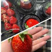 ヒメ日記 2025/01/29 13:18 投稿 ほなみ Mrs Sirena（ミセスシレナ）