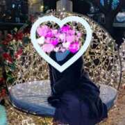 ヒメ日記 2024/12/18 22:02 投稿 木村友希乃 五十路マダム宇都宮店(カサブランカグループ)