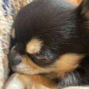 ヒメ日記 2024/12/14 19:21 投稿 ゆりにゃん ナメすぎサークル立川店