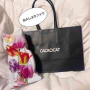 ヒメ日記 2025/09/27 11:45 投稿 みさ 錦糸町人妻セレブリティ（ユメオト）