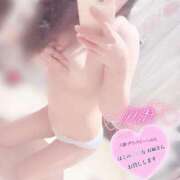 ヒメ日記 2025/02/24 17:45 投稿 ミオ 僕の◯◯なお姉さん、お貸しします