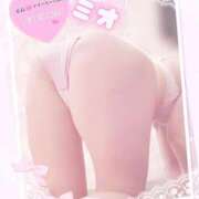 ヒメ日記 2025/03/11 18:35 投稿 ミオ 僕の◯◯なお姉さん、お貸しします