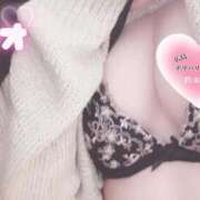 ヒメ日記 2025/03/23 20:35 投稿 ミオ 僕の◯◯なお姉さん、お貸しします