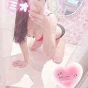 ヒメ日記 2025/03/26 18:05 投稿 ミオ 僕の◯◯なお姉さん、お貸しします