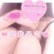 ヒメ日記 2025/06/14 12:05 投稿 ミオ 僕の◯◯なお姉さん、お貸しします