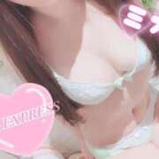 ヒメ日記 2025/07/04 17:05 投稿 ミオ 僕の◯◯なお姉さん、お貸しします