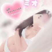 ヒメ日記 2025/07/07 17:25 投稿 ミオ 僕の◯◯なお姉さん、お貸しします