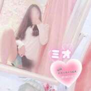 ヒメ日記 2025/07/10 17:25 投稿 ミオ 僕の◯◯なお姉さん、お貸しします