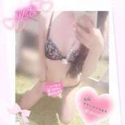 ヒメ日記 2025/07/25 01:05 投稿 ミオ 僕の◯◯なお姉さん、お貸しします