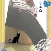 ヒメ日記 2025/01/23 17:55 投稿 サエ 僕の◯◯なお姉さん、お貸しします